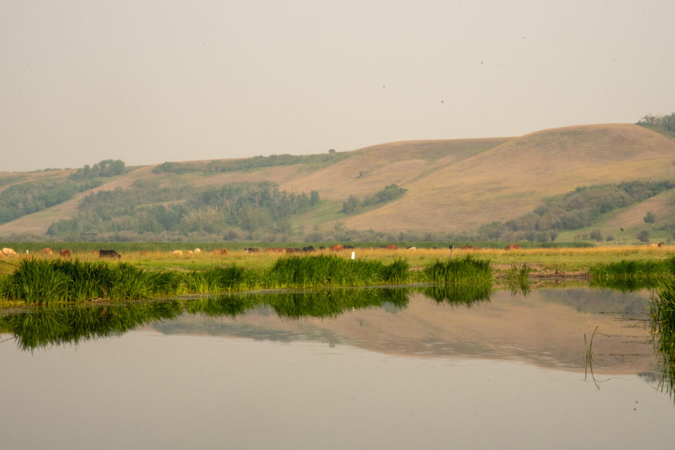 Dried Meat lake showing a reflection of the surrounding hills