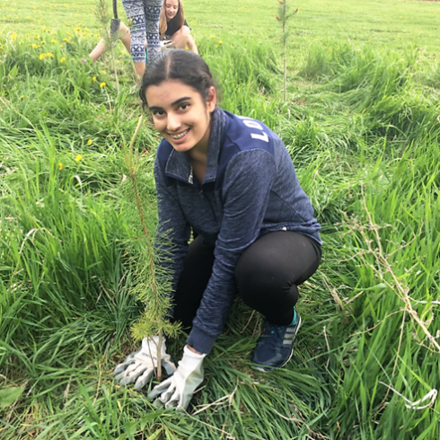 A Edmonton-based student plants a tree at her school to increase biodiversity