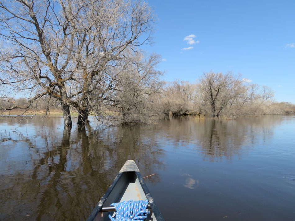 Kayaking down the Magical Maple Route