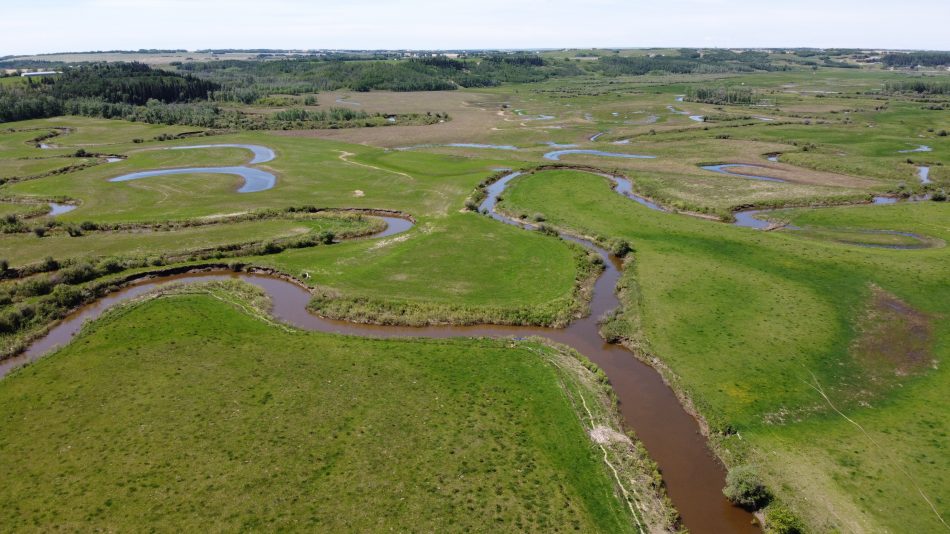 Photo of the Pipestone Creek flowing into the Battle River