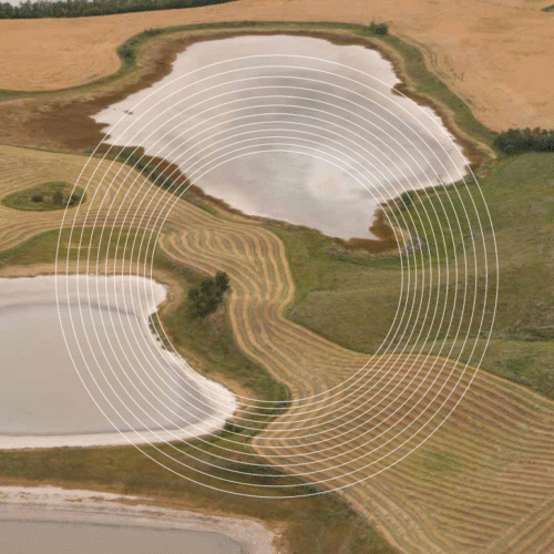 Image of wetlands around plowed fields in the Battle River Watershed