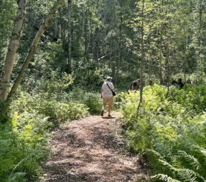 Battle Lake Fern Glades Tour