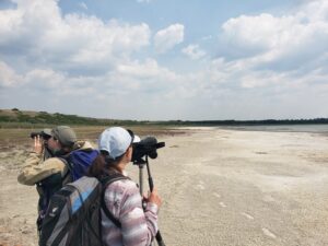 Piping plover monitoring at Killarney Lake, 2025