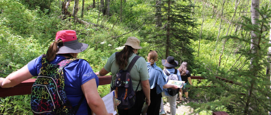 Citizen science bioblitz at Battle Lake 2025