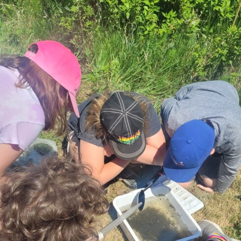 young kids looking at bucket of water with macroinvertebrates, learning to assess the water quality from a stream