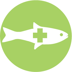 Fish Health