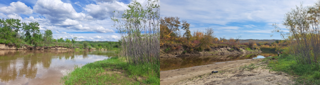 Battle River flow comparison from June to September 2026